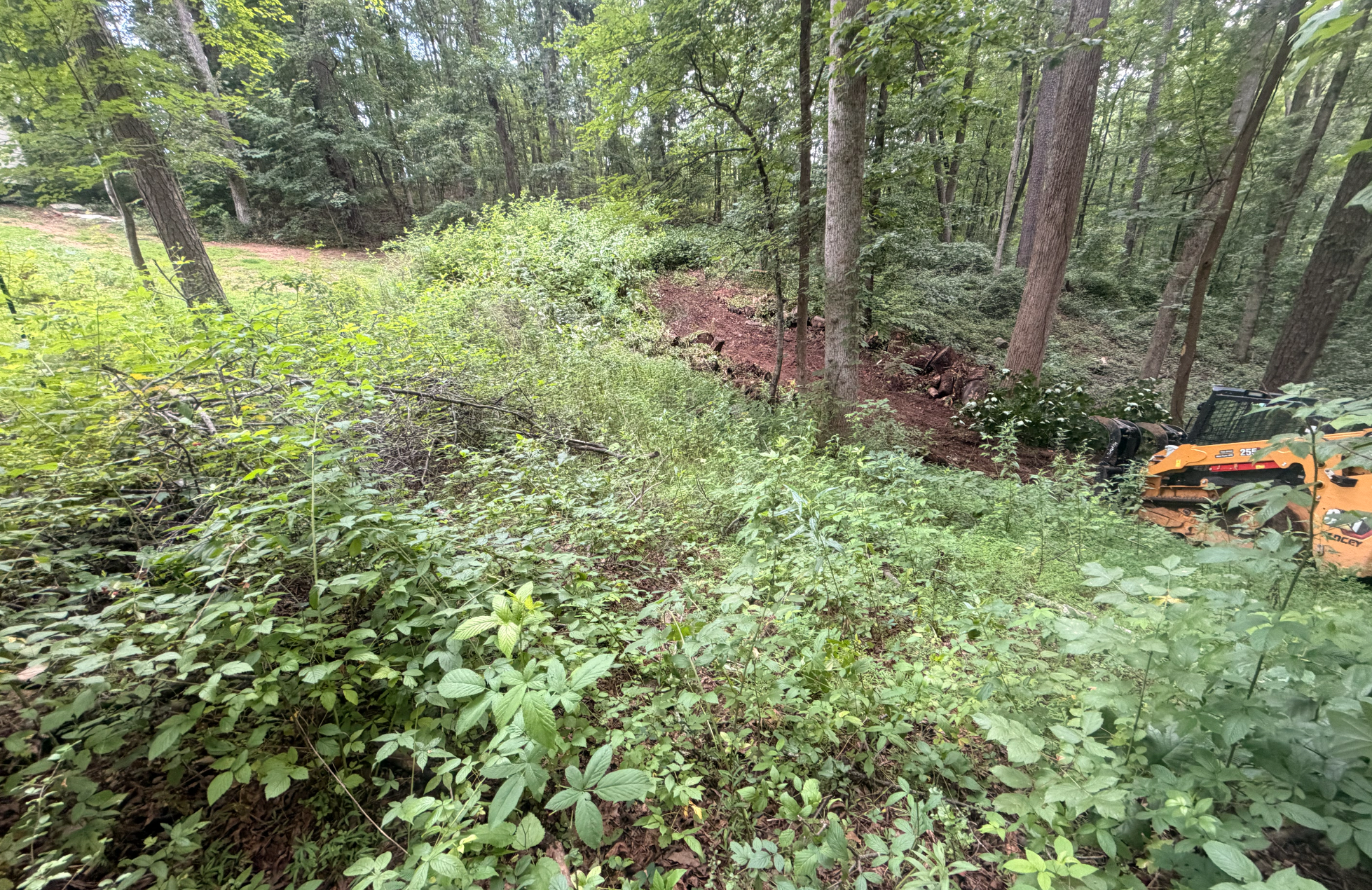 Tree removal and lot clearing before work began